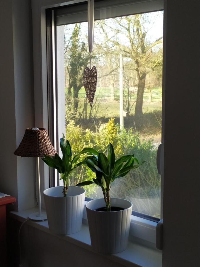 Gaestehaus Hoelting Lubberstedt ภายนอก รูปภาพ